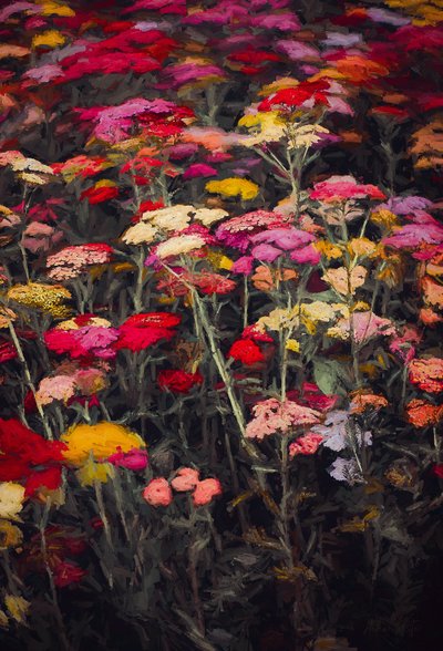 Wild und farbenfroh, 2018 von Helen White